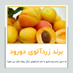 دل نوشته یک کارگر شهرداری دورود