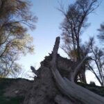 دریاچه گهر دورود